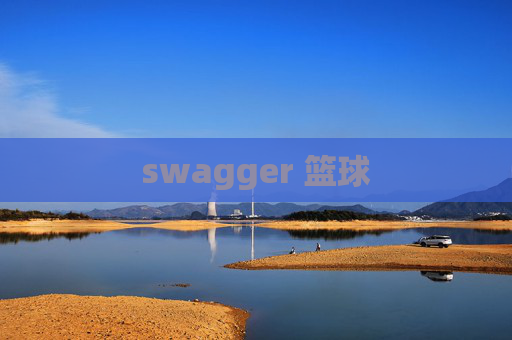 swagger 篮球 swagger 篮球